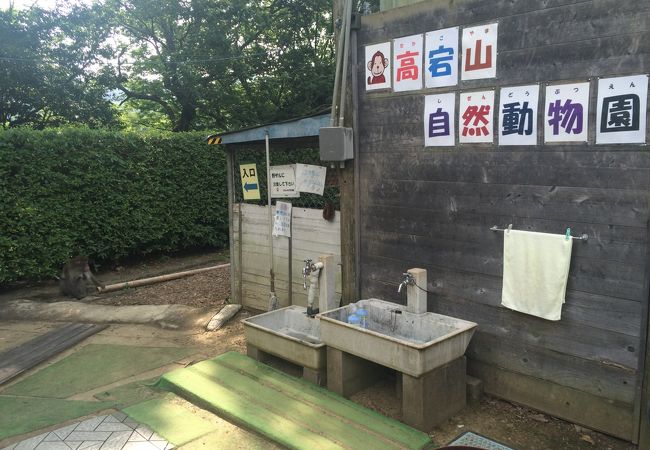 高宕山自然動物園