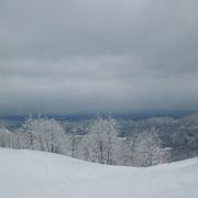 山頂から絶景が楽しめます