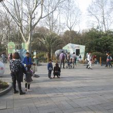 上海動物園