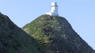 高い所にあるので浦島太郎の亀から見上げました