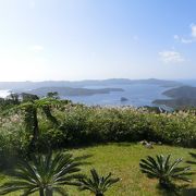 大島海峡の絶景が見えました