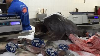 新鮮なシーフードを頂けます！