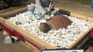 開聞岳はここから