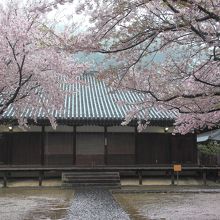 西郷寺の境内と本堂