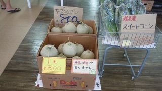 海が近く気持ちいい、メロンがお薦め