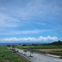 角部屋だったので、眺望は抜群。