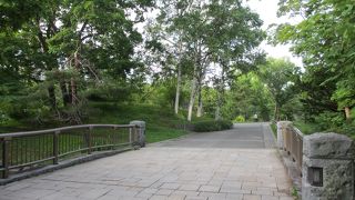 毎朝散歩をしていました