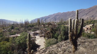 ティカラのかつてのインデヘナ住居