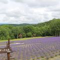 ラベンダー畑の規模はそれほどでもないかと思います。