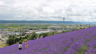 訪問客の笑顔が印象的でした。ファーム富田に来たらここにも寄ってほしいです。