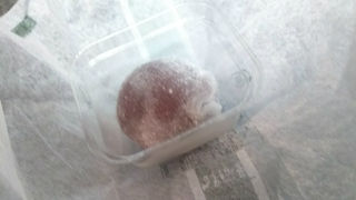 ピオーネがおススメ