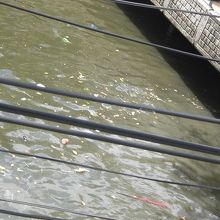 地下鉄ペチャブリー駅の南の運河の様子です。とても汚いです。