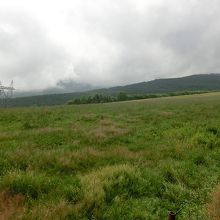 蓼科第二牧場でございます。蓼科山は雲の中