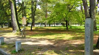 安静を願ってくださいね