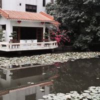 中庭には大きな池