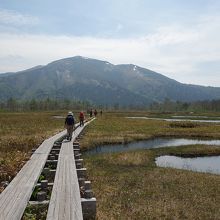 尾瀬ヶ原前方に至仏山