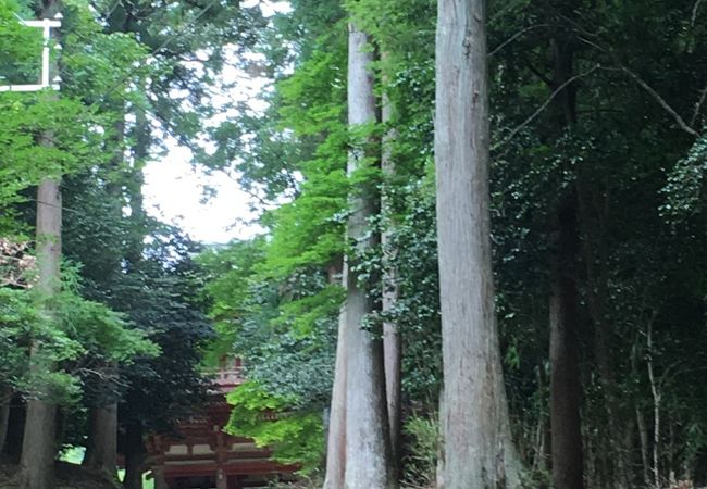 二王公園