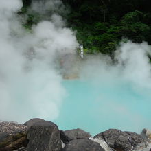 きれいな色です。