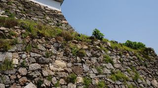 秀吉の築城のころに積まれた石垣