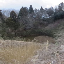 水郷県民の森の風景