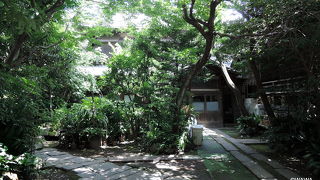 緑が生い茂ったお寺