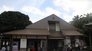 青島神社境内にあり