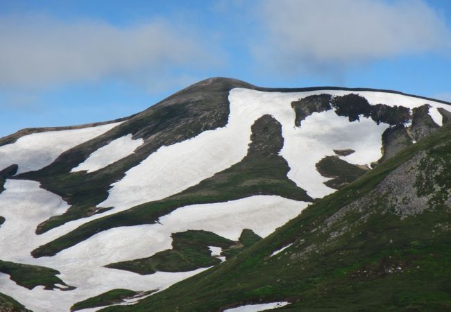 白鳥の雪渓