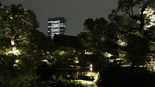 素敵なお庭が観られます ♪