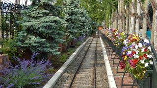 テーマパークだから大混雑は・・・しかたない