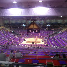 早い時間帯に行くと、紫の座布団が目に鮮やかです（笑）