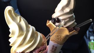 このソフト、豆だらけですやん！