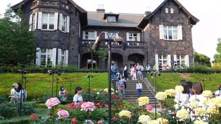 バラフェスティバルがありバラ園はとても華やかでした。夜のライトアップもありました。