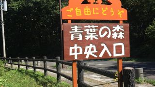 青葉の森緑地