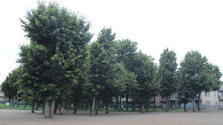 中央林間駅に近いが