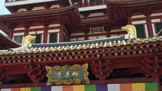 見て歩くだけでも楽しいがちょっと汚い？