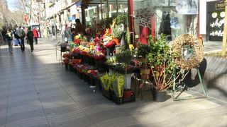 広い歩道に店が出ており観光の目抜通りです