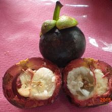 結局、マンゴスティンを少し買いました。節約しました。