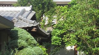 亀戸天神社の西側、横十間川沿いの道沿いにある臨済宗永源寺派の寺院です