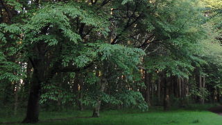 家族で楽しめる公園