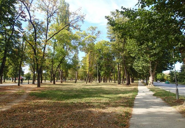 ビトラ市立公園