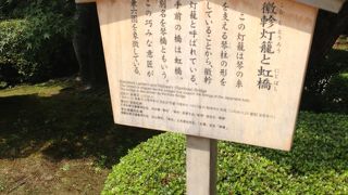 兼六園菊桜は学名