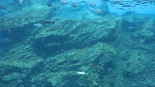 子供連れでちょうど位