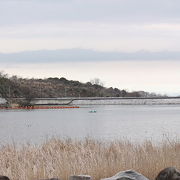 筑紫湖探鳥会に参加してきました。