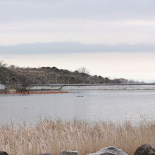 筑紫湖の風景です。