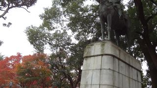 色づいた葉が良いアクセントになっていました