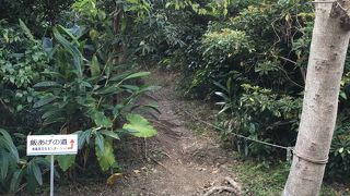 ひめゆり学徒が命を懸けて「飯」を運んだ道です。