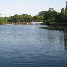 緑と水。駅から徒歩数分でこの風景が。