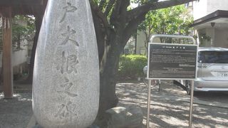 早春に収穫される大根は珍しいと思いました