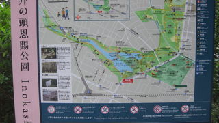 吉祥寺で降りたら緑を求めてつい足が進む