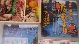 たこ尽くしのメニューが楽しい駅弁「日本海たこびより」